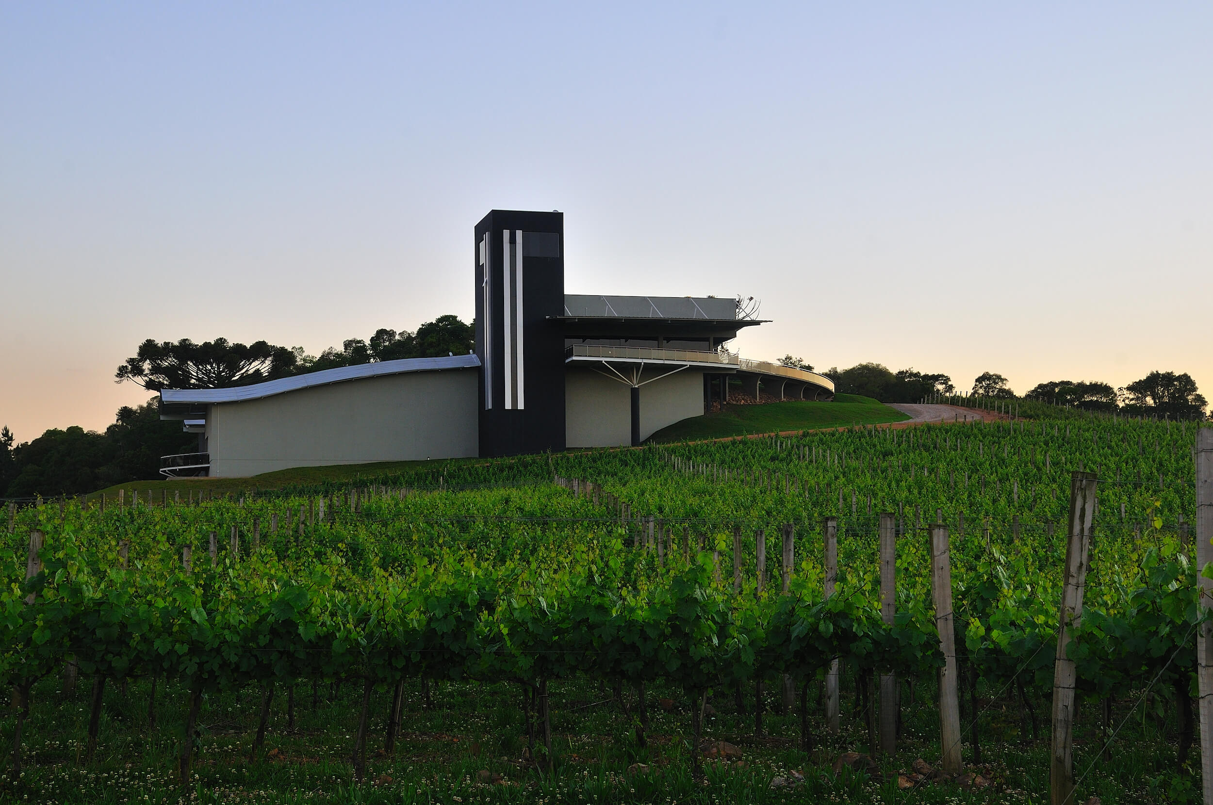 Luiz Argenta, a vinícola design